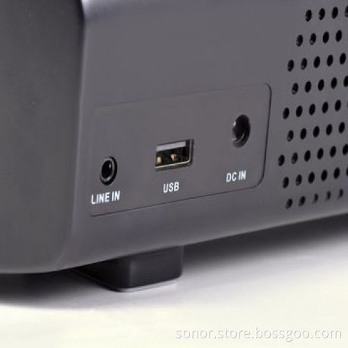 Desktop Bluetooth Speaker (20W RMS), Built-in FM Receiver